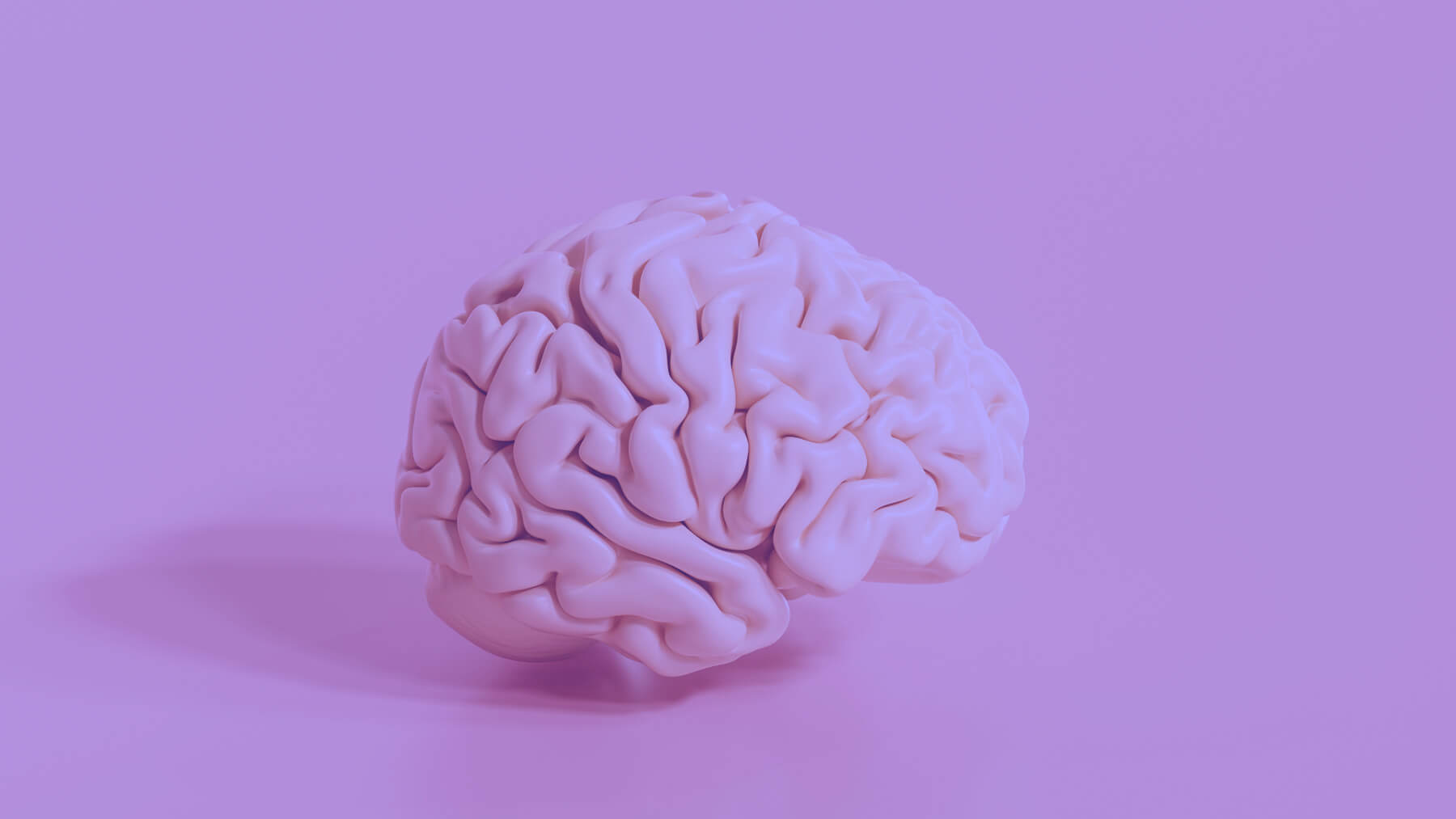 A picture of a brain, symbolizing Propello's blog post on retrieval practice activities you can try in your classroom
